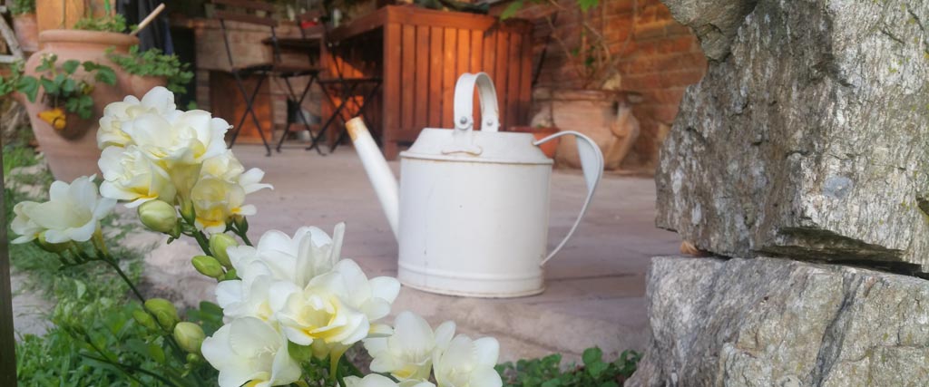 Giardino fiorito con barbecue divanetti sdraio tavola da pranzo presso Zorba il Buddha B&B & meditation center