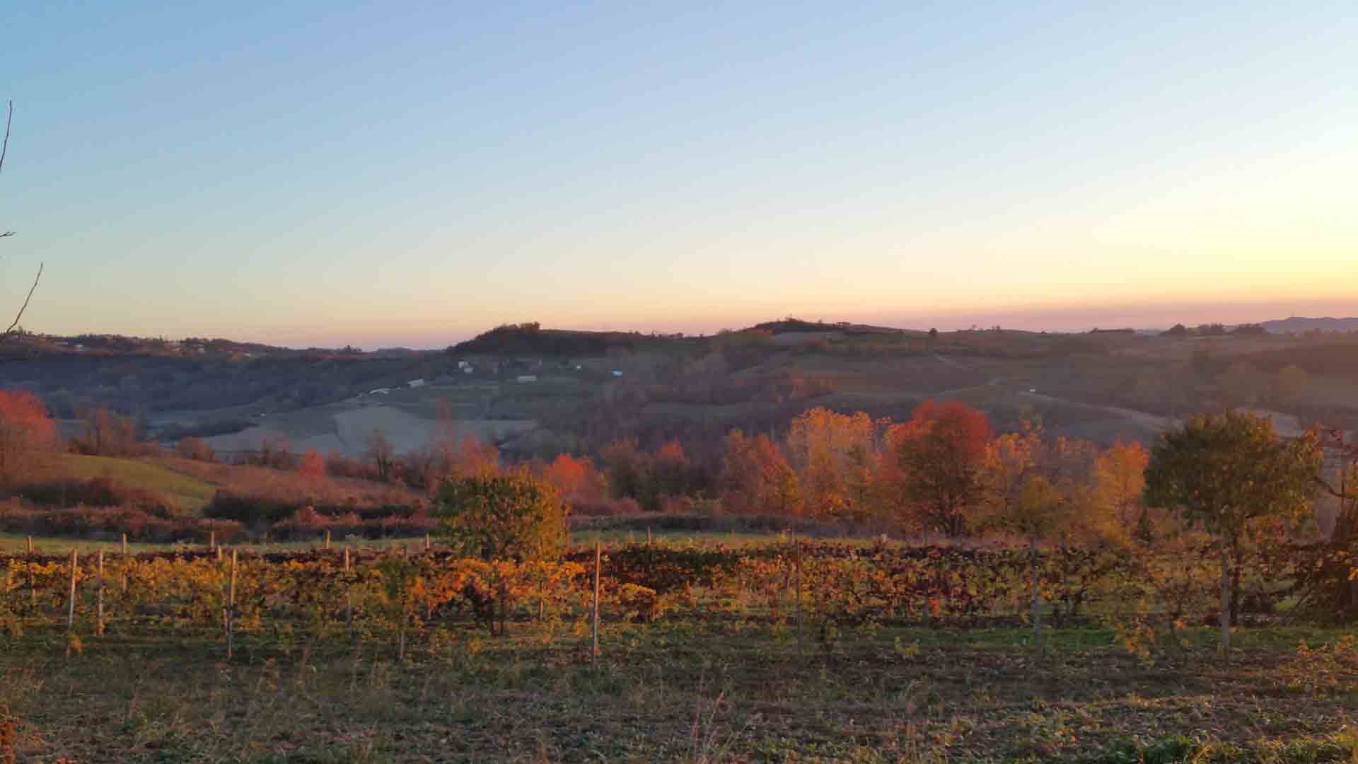 Panorama collinare passeggiate autunnale centro di meditazione B&B Zorba Il Buddha Passerano Marmorito Asti