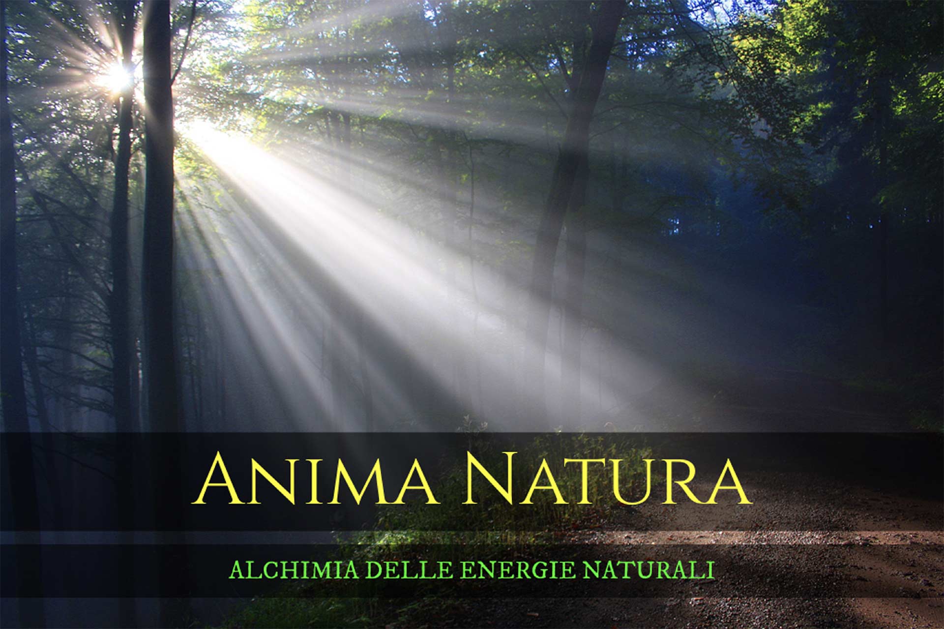 Seminario Anima Natura relatore Germano Caroli presso B&B & Meditation Center Zorba Il Buddha Passerano Marmorito Asti