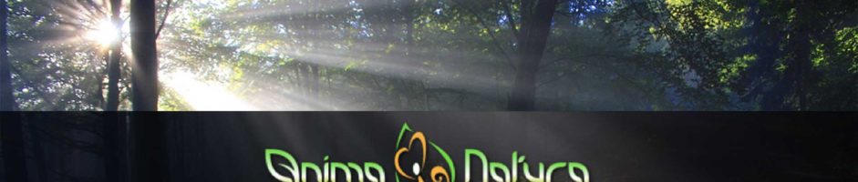 Seminario Anima Natura, Corso Intensivo Esperienziale Per Il Risveglio Della Coscenza Naturale