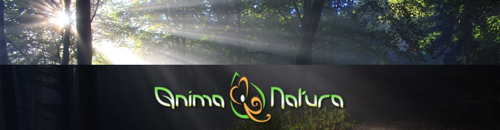 Seminario Anima Natura relatore Germano Caroli presso B&B & Meditation Center Zorba Il Buddha Passerano Marmorito Asti