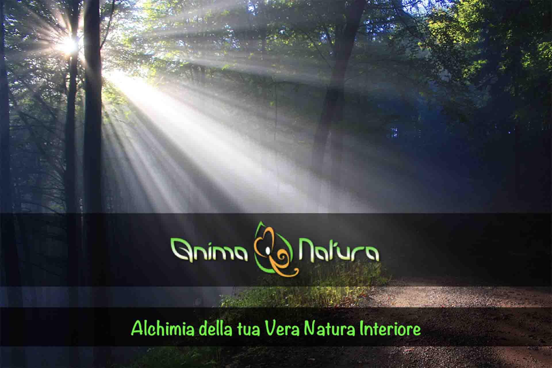 Seminario Anima Natura relatore Germano Caroli presso B&B & Meditation Center Zorba Il Buddha Passerano Marmorito Asti
