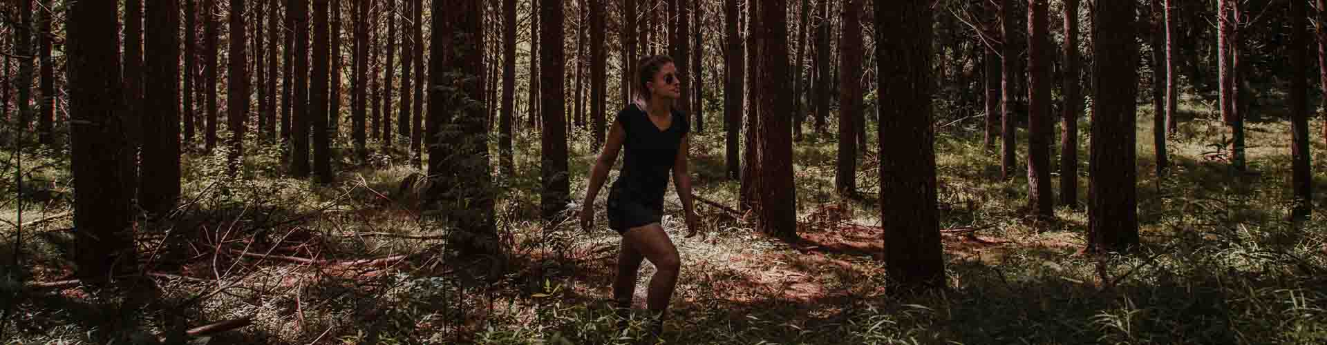 A Proposito Di Bagno Di Foresta