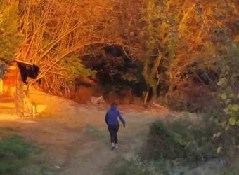 Percorso Shinrin-Yoku bagno di foresta meditazione B&B & Meditation Center Zorba Il Buddha Passerano Marmorito (AT)