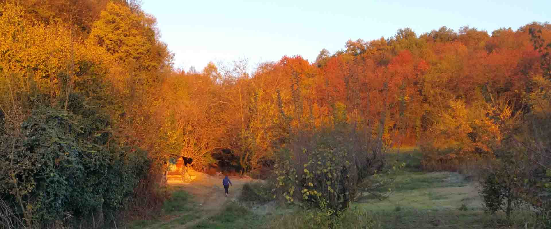 Spazio esterno meditazione attiva percorso Shinrin Yoku sentiero autunnale Vipal B&B Centro meditazione Zorba Il Buddha Passerano Marmorito (AT)