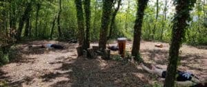 Ritiro di meditazione attiva nel bosco forest bathing shinrin yoku bagno di foresta Vipal B&B & Meditation Center Zorba il Buddha Passerano Marmorito (AT)