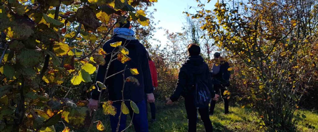 Ritiro di meditazione nel bosco mindfulness shinrin yoku bagno di foresta Vipal Antonio Gianfranco Gualdi centro meditazione Zorba Il Buddha