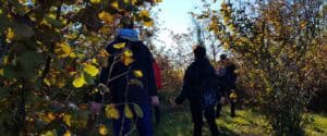 Ritiro di meditazione nel bosco mindfulness shinrin yoku bagno di foresta Vipal Antonio Gianfranco Gualdi centro meditazione Zorba Il Buddha