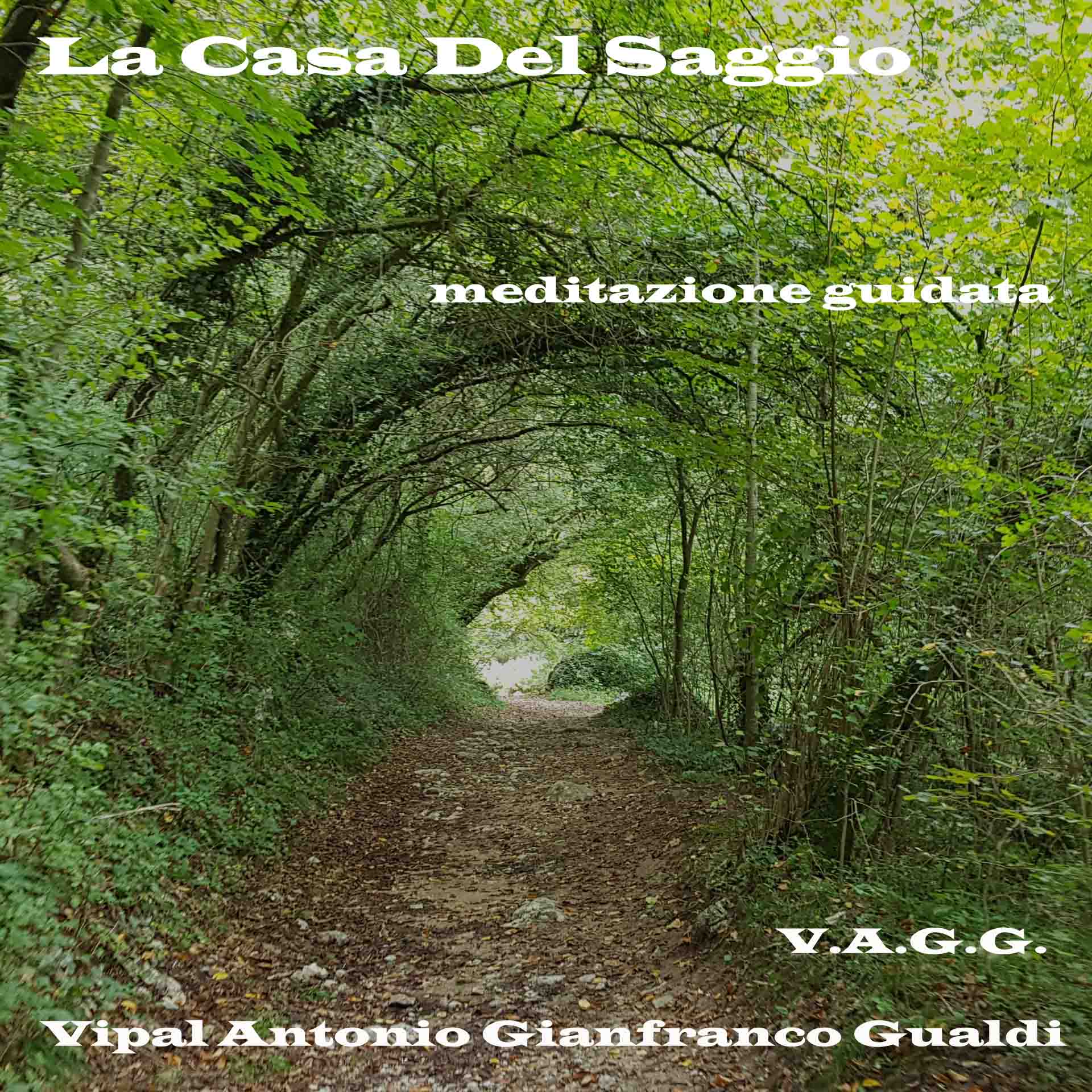 La casa del saggio meditazione guidata di autocoscienza Vipal Antonio Gianfranco Gualdi