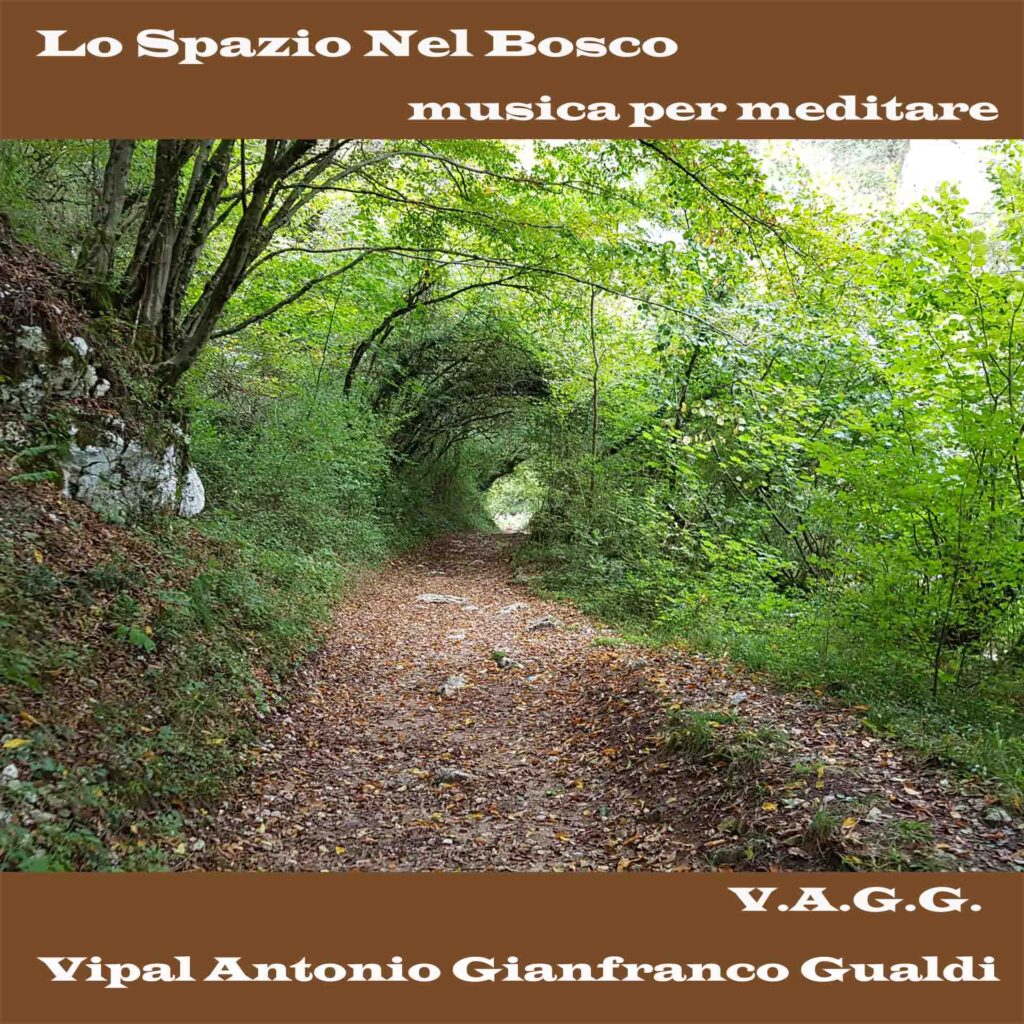 Lo spazio nel bosco musica per meditare Vipal Antonio Gianfranco Gualdi