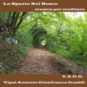 Lo spazio nel bosco musica per meditare Vipal Antonio Gianfranco Gualdi