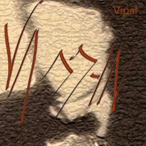 Vagg-In - Album - Vipal - 2016