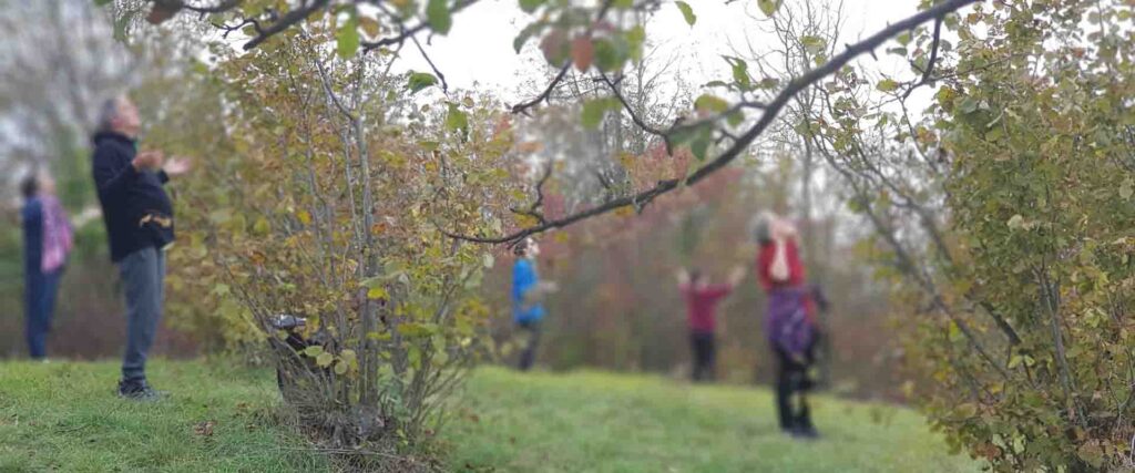 Meditazione risveglio energetico ritiro di meditazione bagno di foresta conduce Vipal Antonio Gianfranco Gualdi Centro di Meditazione Zorba Il Buddha