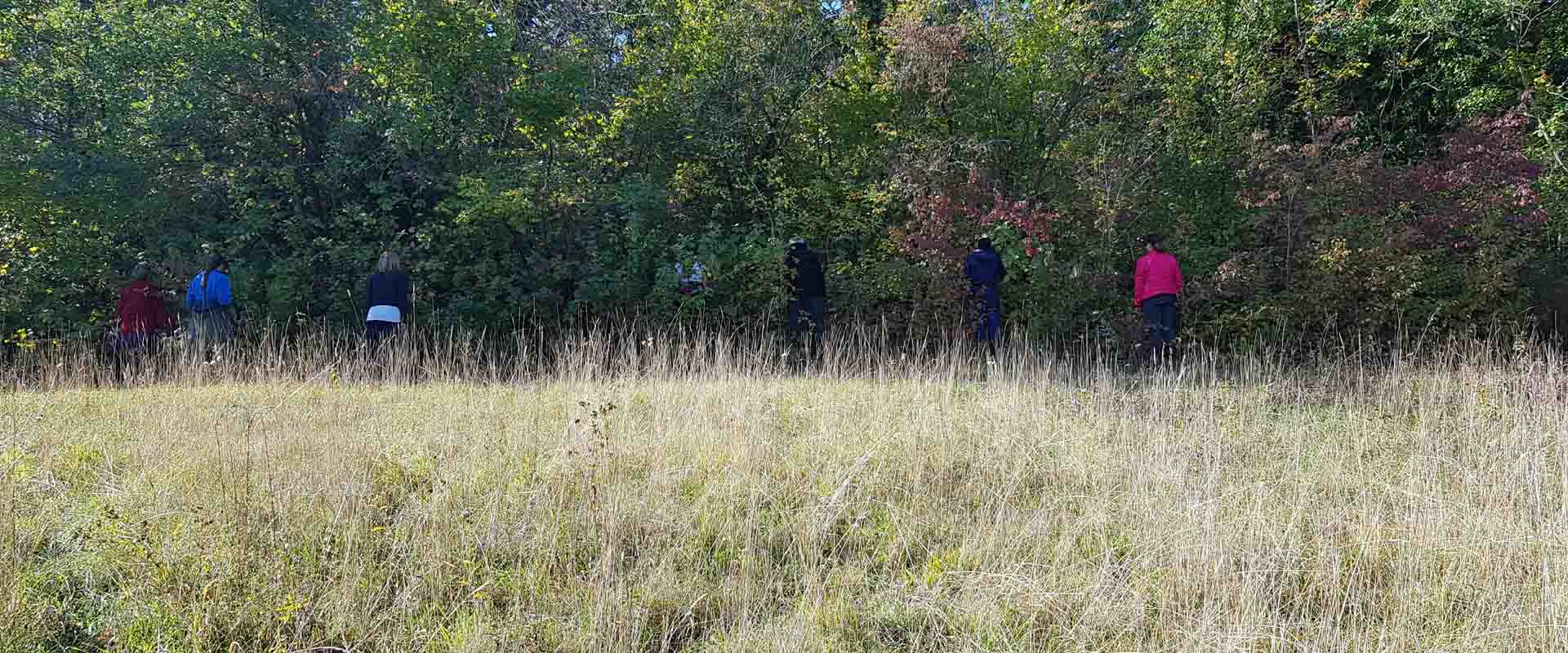 Meditazione immersione nel bosco ritiro di meditazione forest bathing conduce Vipal Antonio Gianfranco Gualdi Centro di Meditazione Zorba Il Buddha