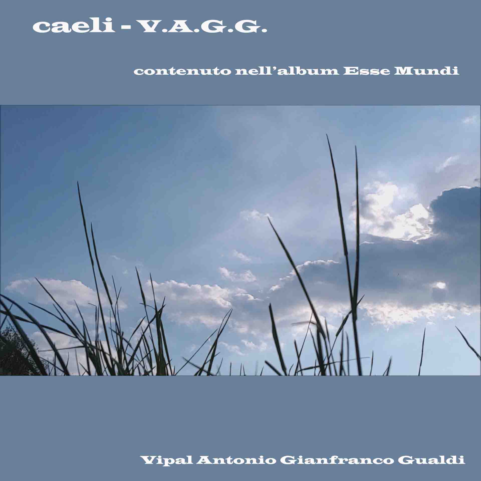 Caeli musica V.A.G.G. Vipal Antonio Gianfranco Gualdi