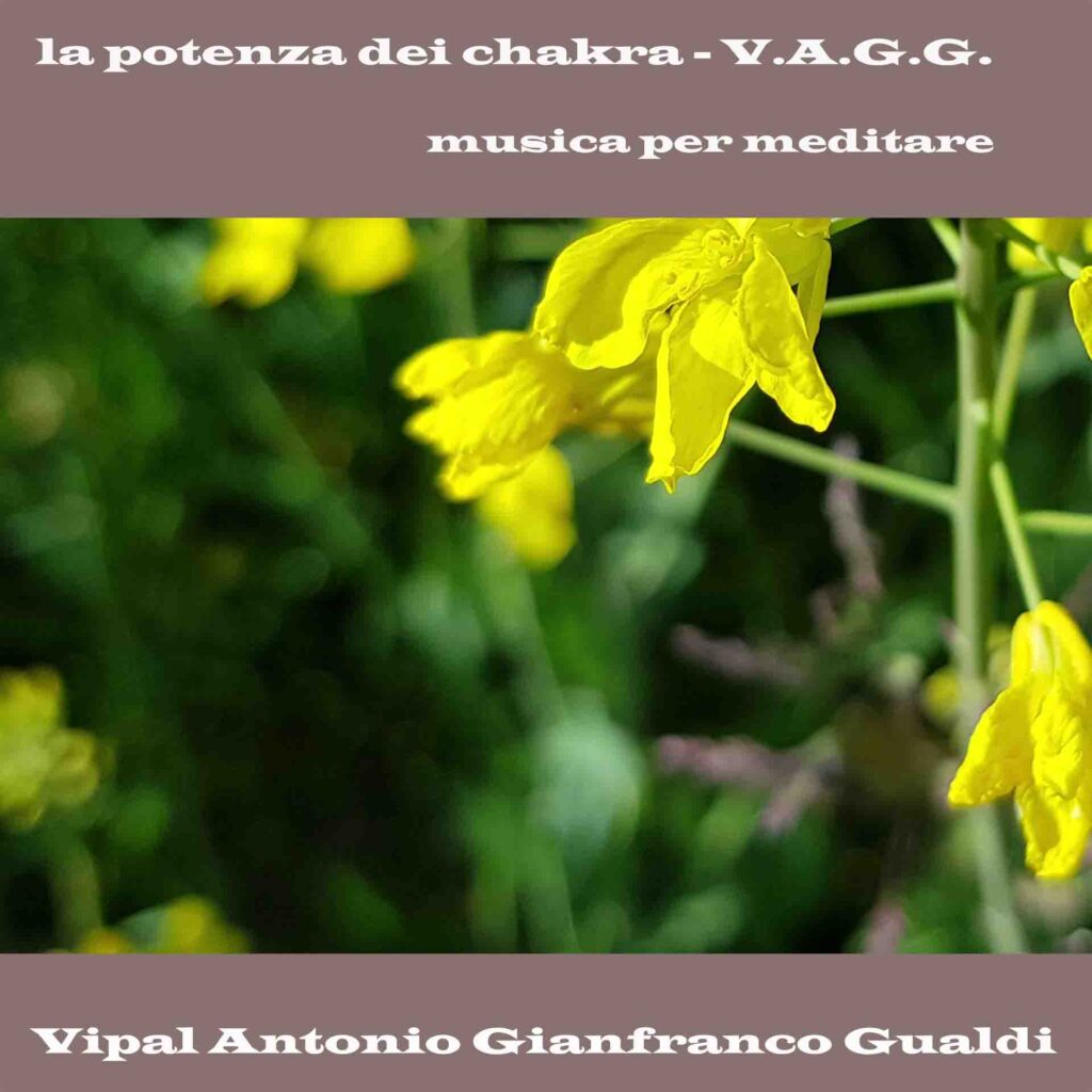 Copertina traccia " la potenza dei chakra" La venuta del vuoto di V.A.G.G. Vipal Antonio Gianfranco Gualdi