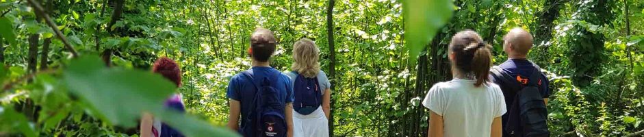 Ritrova Il Tuo Equilibrio Nel Basso Monferrato: Ritiri Di Meditazione E Vacanze Olistiche A Luglio