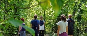 Gruppo di persone di spalle immerso in un fitto bosco verdeggiante durante la meditazione del sole, tecniche di meditazione Bodhi Vipal al Centro meditazione Zorba Il Buddha.