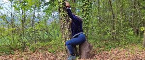 Partecipante di profilo appoggiata a un tronco d'albero coperto di edera nel bosco con le braccia sollevate, durante una sessione di ritiro di meditazione individuale e massaggio all'albero al Centro Zorba Il Buddha.
