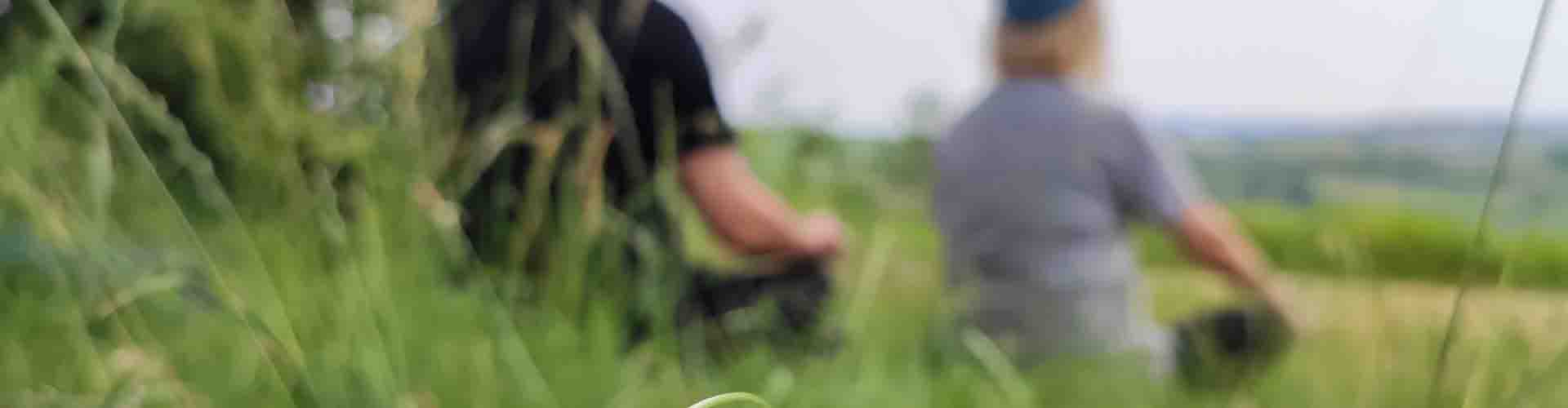 Meditazione Ed Esperienze Olistiche Un Altro Modo Per Conoscerti