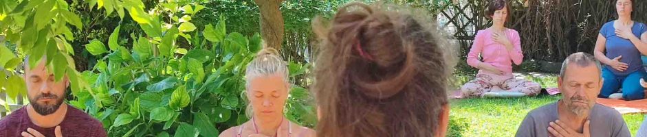 6-7 Settembre Ritiro Di Meditazione Depurativa Forest Bathing Percorso Shinrin-Yoku: Camminata Meditativa Disintossicante Tecniche Bodhi Vipal®