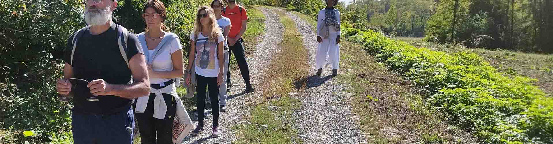 Ritiro Di Meditazione Camminata Il Pellegrino Interiore