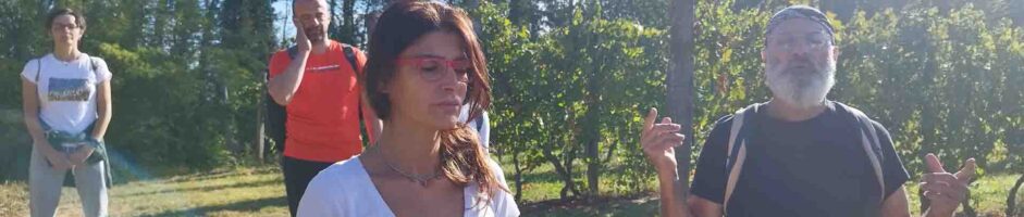 9-10 Settembre Percorso Shinrin-Yoku: Il Bagno Di Foresta Ritiro Di Meditazione Nel Bosco (Soft)