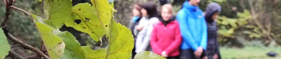 DATA DA DEFINIRE Ritiro di meditazione attiva: Spegni La Mente E Rilassati Nel Cuore Adesso – Prenditi cura di te per entrare in contatto con il tuo amore e vivere nell’adesso