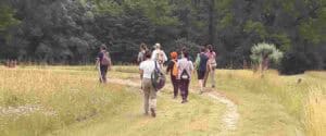 Gruppo di persone con zaini in spalla riprese di spalle mentre camminano lungo un sentiero sterrato tra i prati verso il bosco, durante una sessione di meditazione camminata introspettiva con le tecniche di meditazione Bodhi Vipal al Centro Zorba Il Buddha.
