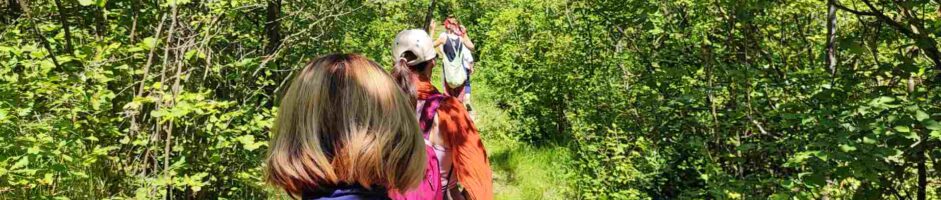 DATA DA DEFINIRE Ritiro Di Meditazione Camminata: Il Pellegrino Interiore Sul Sentiero Della Ricerca Camminando Vivendo Nel Presente (INTENSIVO)
