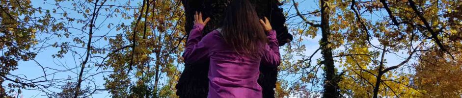 25-26 Ottobre Ritiro Di Meditazione Forest Bathing Tecniche Bodhi Vipal®: Pratiche Meditative Svolte Nel Bosco