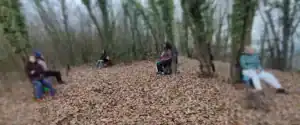 Gruppo di persone distanziate e sedute tra gli alberi durante una sessione di forest bathing e meditazione in un bosco in autunno o inverno, con il terreno coperto di foglie secche.