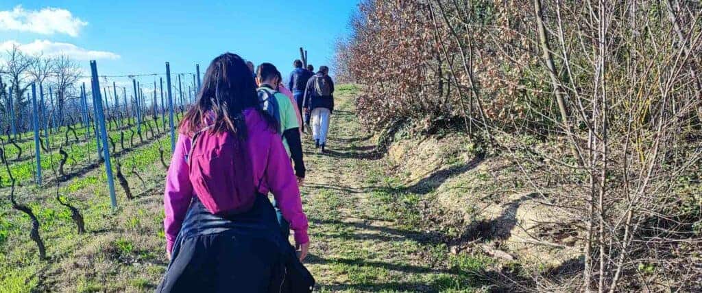 Gruppo di persone in fila indiana con zaini in spalla riprese di spalle mentre camminano lungo un sentiero collinare tra un vigneto e un bosco, durante un ritiro di pellegrinaggio e meditazione camminata Zen con le tecniche di Bodhi Vipal al Centro Zorba Il Buddha.