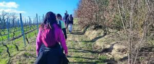 Gruppo di persone in fila indiana con zaini in spalla riprese di spalle mentre camminano lungo un sentiero collinare tra un vigneto e un bosco, durante un ritiro di pellegrinaggio e meditazione camminata Zen con le tecniche di Bodhi Vipal al Centro Zorba Il Buddha.