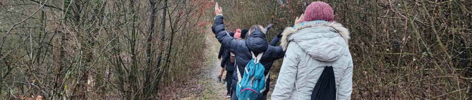 14-15 Dicembre Ritiro Di Meditazione Nel Bosco Contatto E Autoguarigione – Tecniche Bodhi Vipal® (INTENSIVO)