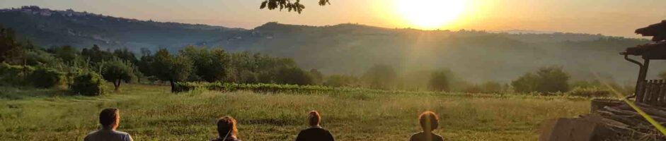 17-18 Maggio Ritiro Di Meditazione Attiva Nella Natura Il Bagno Di Foresta Shinrin-Yoku : Il Risveglio Della Consapevolezza Tecniche Bodhi Vipal®