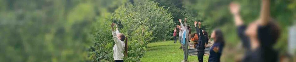 Ritiro Di Meditazione Per Le Festività Tutte Le Date E I Programmi
