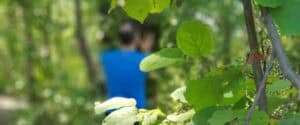 Persona in maglia blu vista sfocata tra le foglie verdi durante una sessione di Forest Bathing nel bosco del Centro Zorba il Buddha.